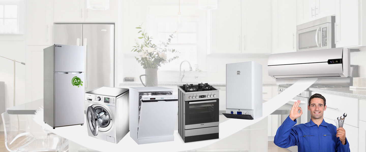 İzmir Smeg Servisi